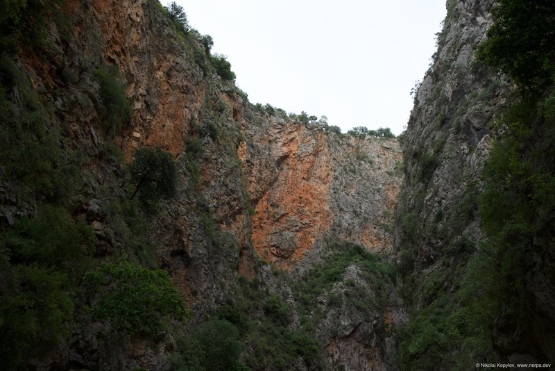 Kapuz