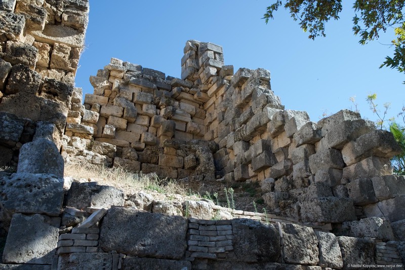 Perge