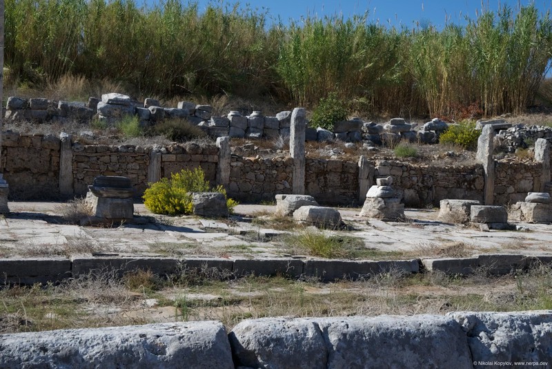 Perge