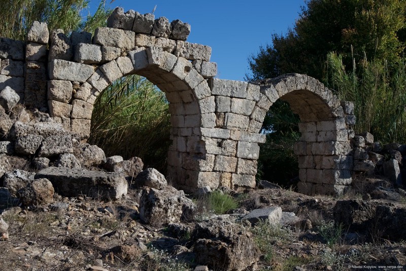 Perge