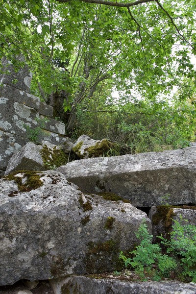 Termessos