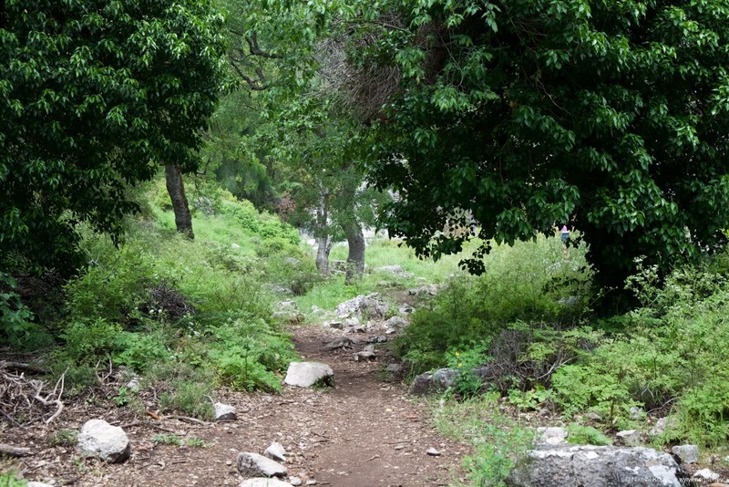 Termessos