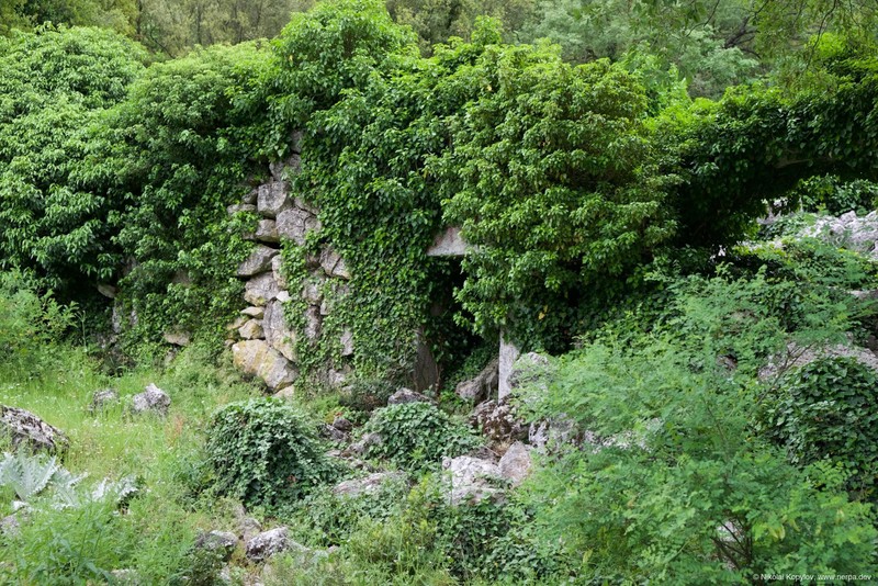 Termessos