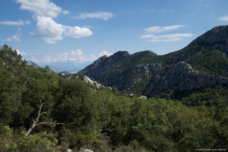 Termessos