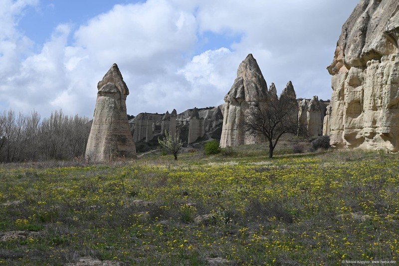 Cappadocia