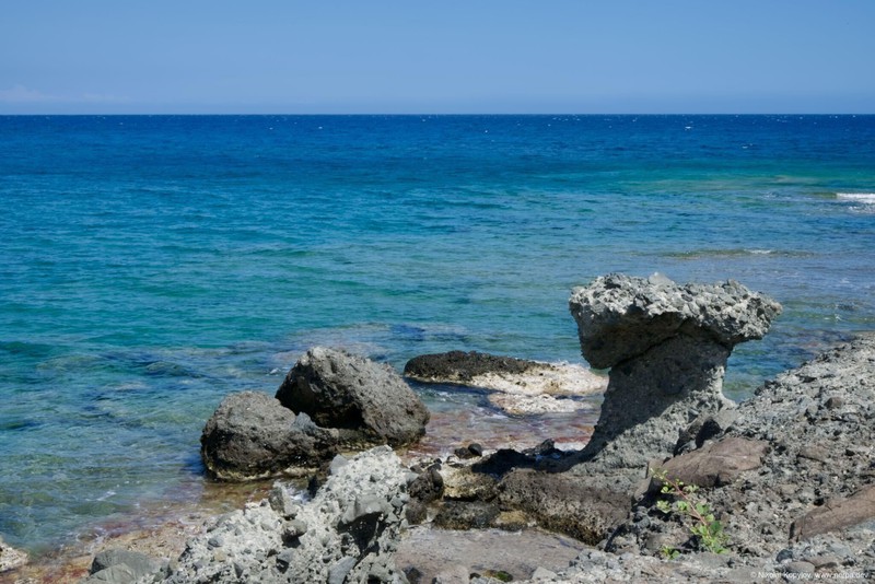 Phaselis