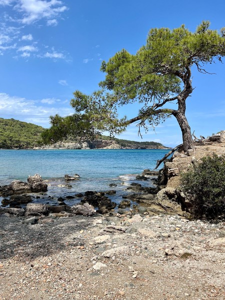 Phaselis