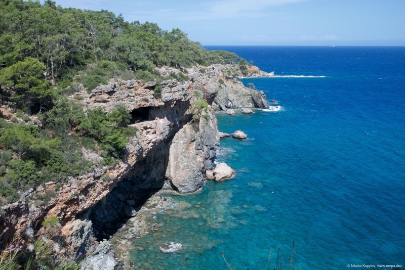 Phaselis